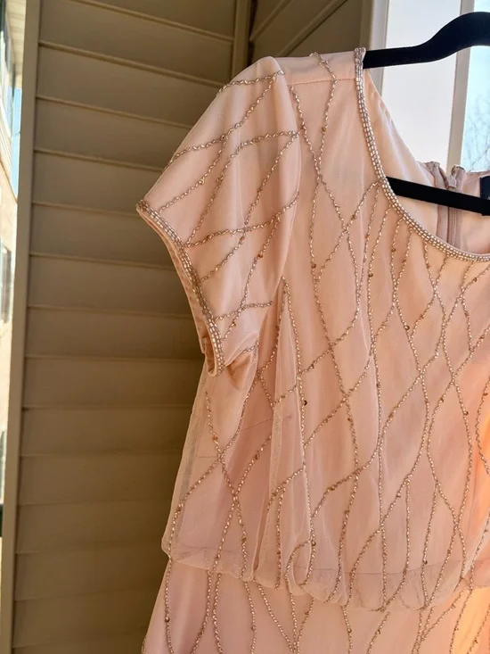🆕✨ Adrianna Papell Blush Beaded Mesh Gown Maxi Dress Size 8 Sequin Nude Pink - Picture 8 of 16